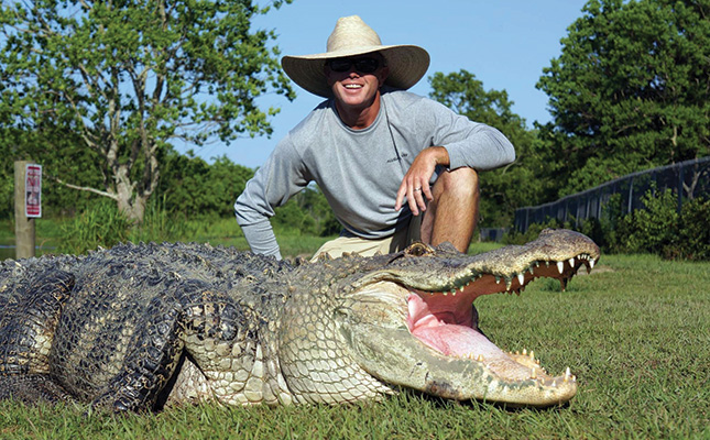 Alligator Facts & Mythbusters